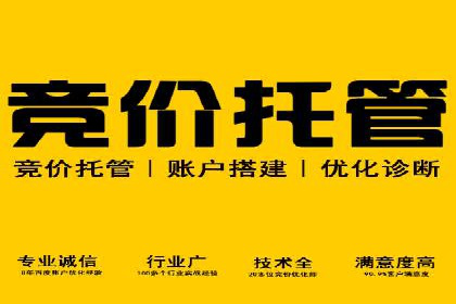 SEM竞价员实战技巧：提升点击率与转化率